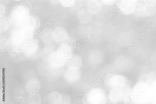 The blurred bokeh white background is used as an abstract background.