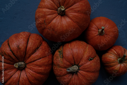 Orange pumpkins close-up, top view, selective focus. Template fall harvest thanksgiving halloween anniversary invitation cards. Dark background, photo in dark processing