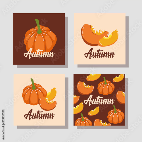 hello autumn season pumpkins vegetables