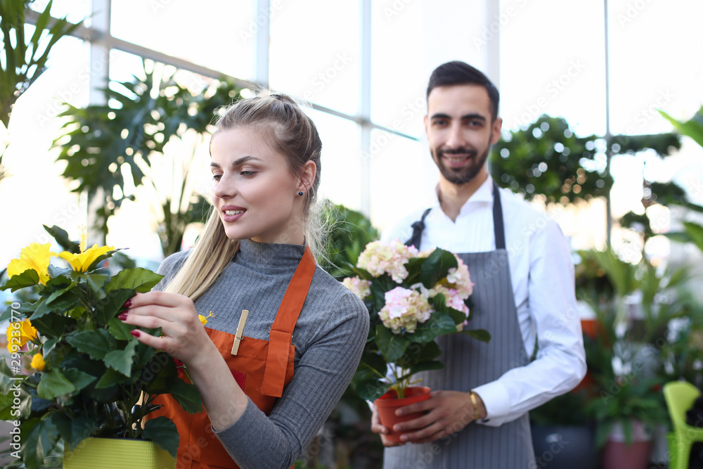 Woman and Man Holding Domestic Flower in Pots