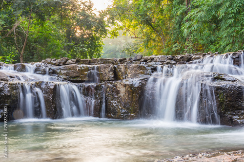 Green forest waterfall nature