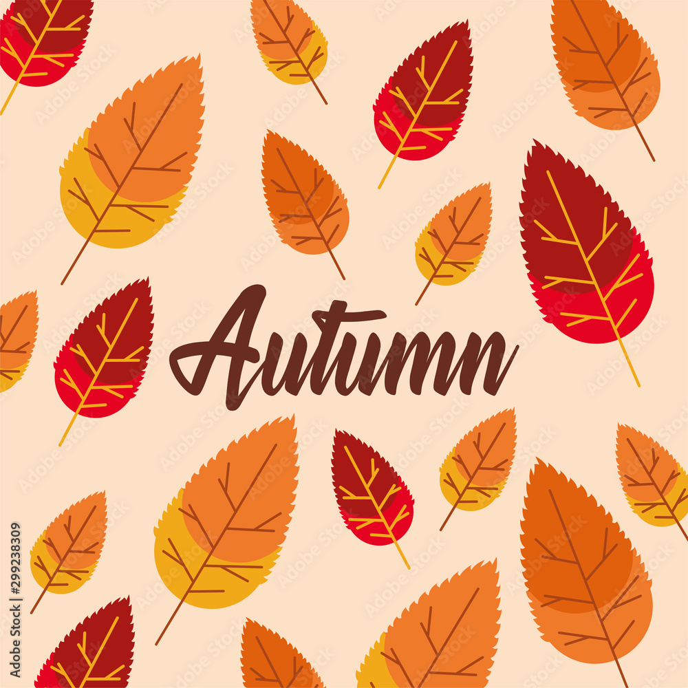 hello autumn season leafs and calligraphy