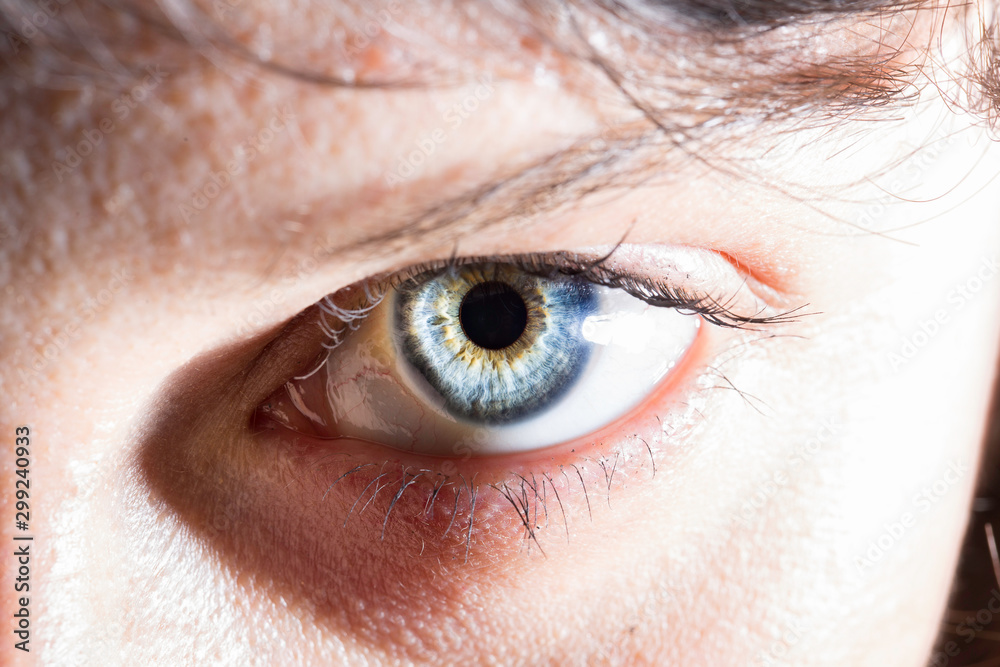 Beautiful detailed eye iris close up view Beautiful detailed eye iris close up view