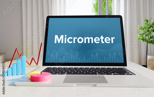 Micrometer – Statistics/Business. Laptop in the office with term on the display. Finance/Economics.