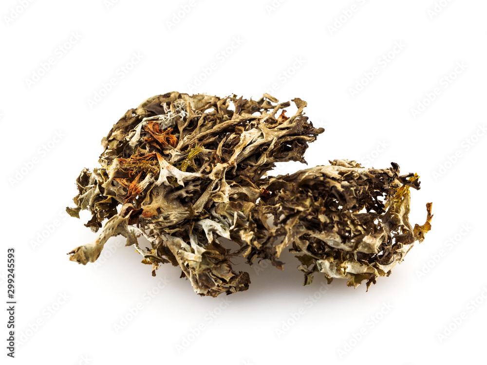 Dry moss lies on a white background Dry moss lies on a white background