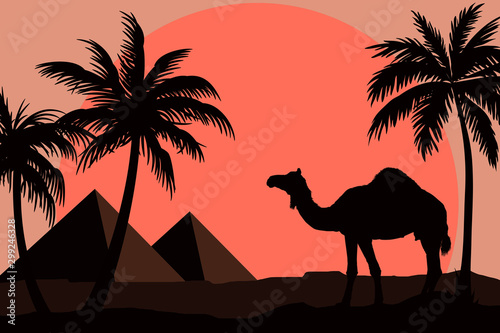 Silhouette of camel with palm trees and pyramids.