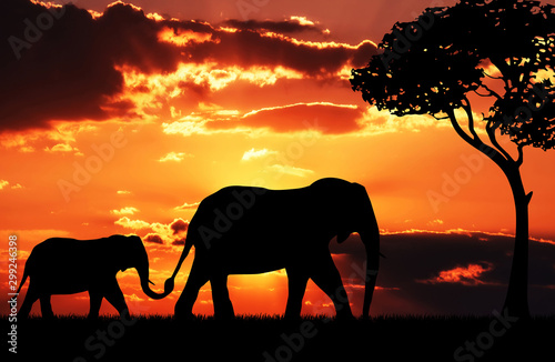 Silhouette of elephant mother with baby.