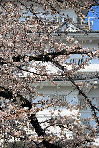 Wallpaper Mural 小田原城 Torontodigital.ca