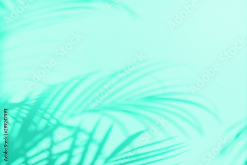 Summer travel concept. Shadow of exotic palm leaves is laying on mint color background. Banner with copy space. Trendy green and turquoise color. photo