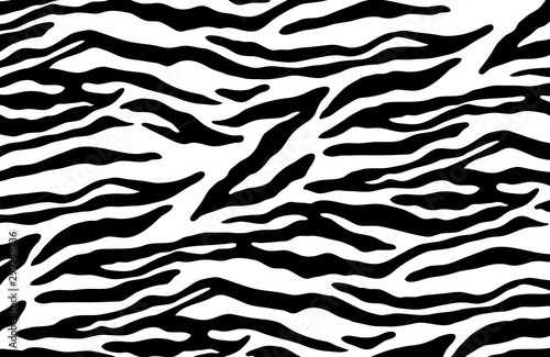 seamless pattern with zebra on white background