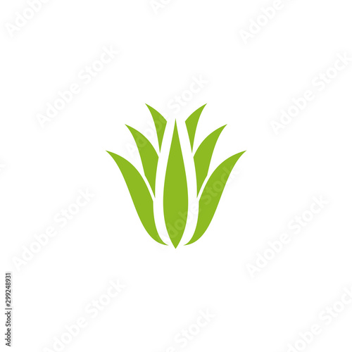 Aloe vera plant logo icon design vector template