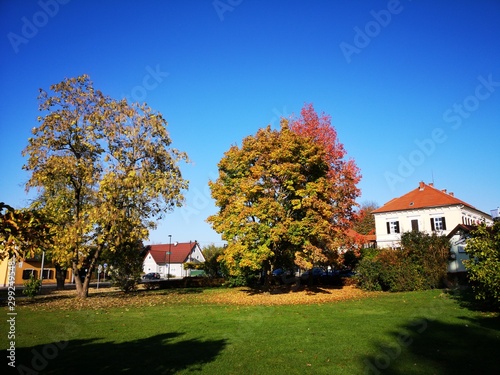 Fernitz Steiermark im Herbst