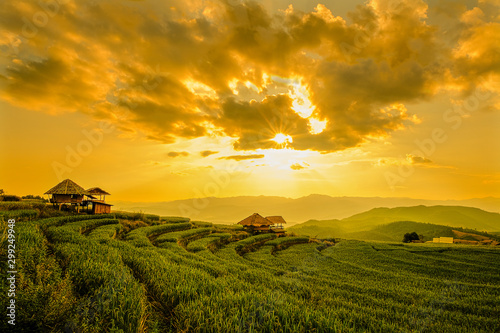 Landscape view of green terraced rice field in Pa Pong Pieng , Mae Chaem, Chiang Mai, Thailand on sunset time. photo