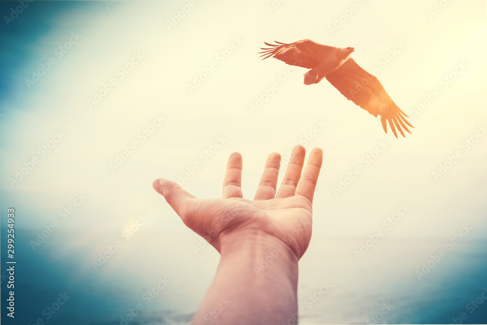 Freedom and feel good concept. Man hand open and eagle bird fly on sunset abstract background. - obrazy, fototapety, plakaty 