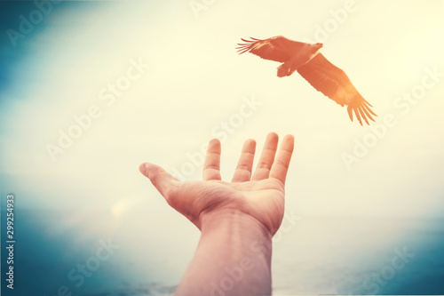 Freedom and feel good conce...