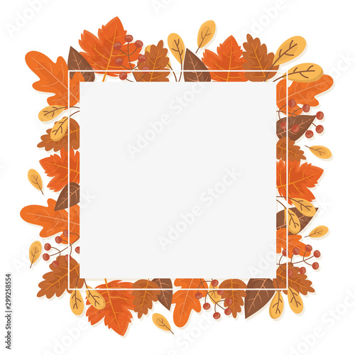 autumn foliage leaves decoration frame white background