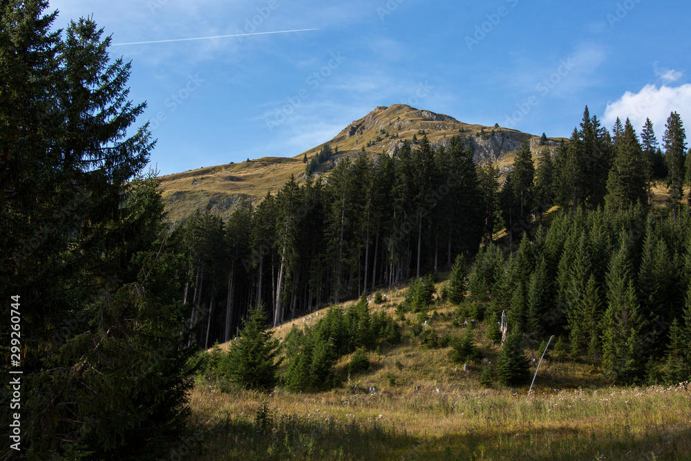 Obraz premium Das Lechtal im Herbst