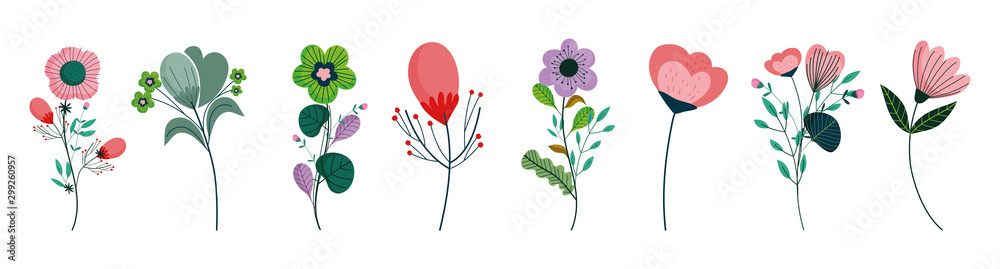 Plakat zestaw differents kwiaty dekoracji na białym tle