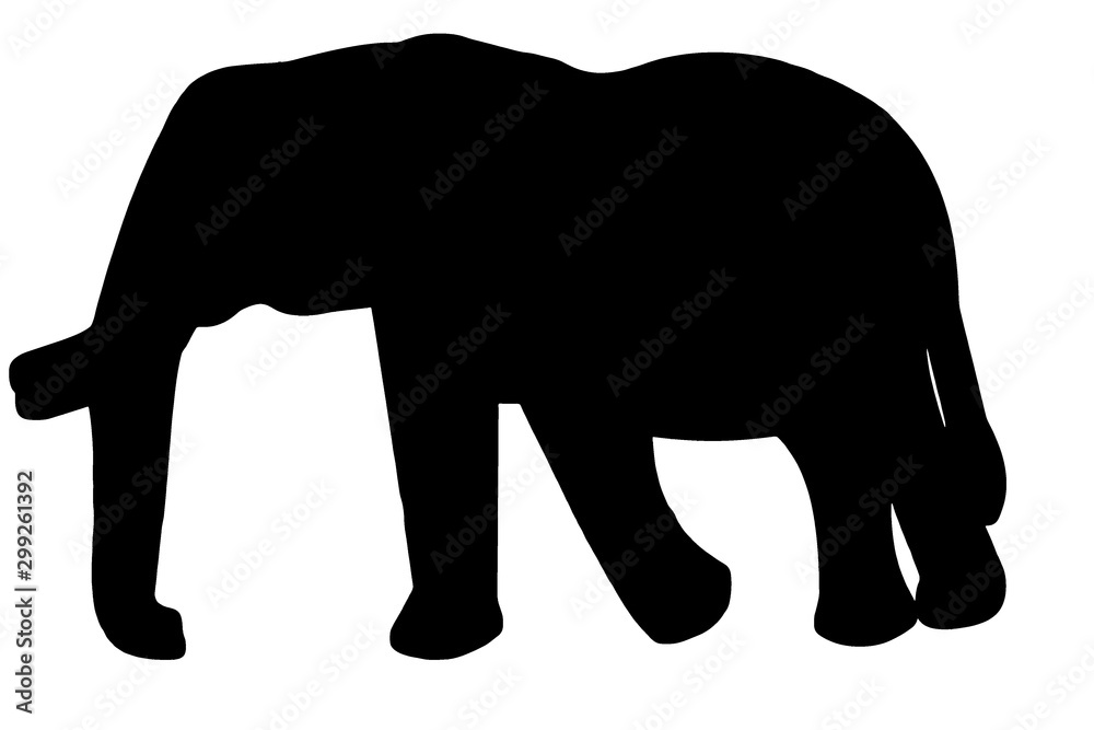 silhouette of elephant isolated on white