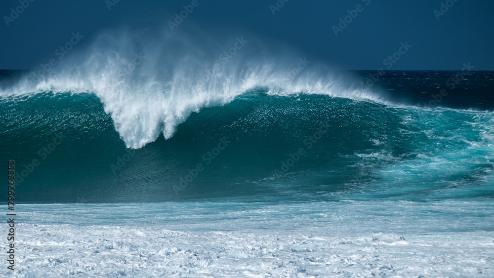 Powerfull wave of the North Shore of Oahu, Hawaii