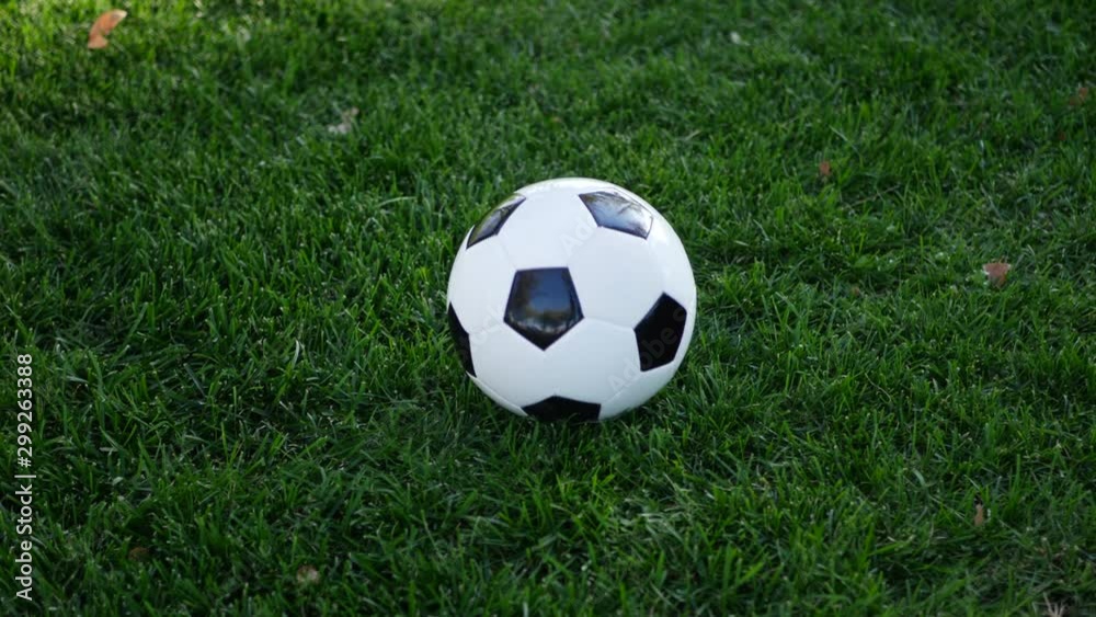 A female soccer player kicking a football to her teammate on a grass sport field. A female soccer player kicking a football to her teammate on a grass sport field.