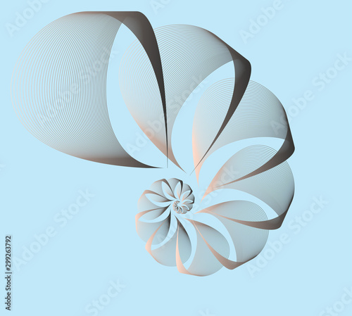 wired veils nautilus blue brown