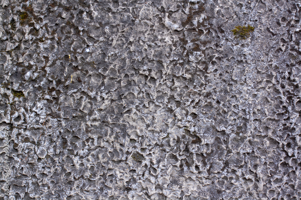 Texture of an old concrete wall with holes, hollows with green moss. The porous surface is gray. Texture of an old concrete wall with holes, hollows with green moss. The porous surface is gray.