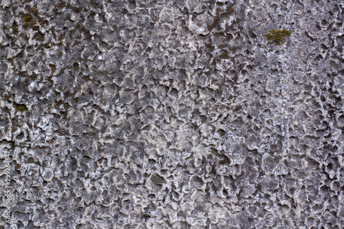 Texture of an old concrete wall with holes  hollows with green moss. The porous surface is gray.