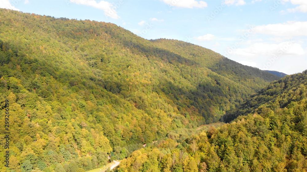 Aerial view over Green forest in Romania