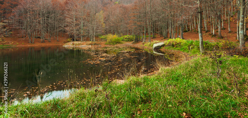 Immagine del Lago Cavone con in primo piano dell'erba verde photo