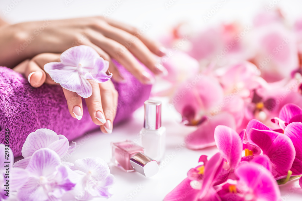 Beautiful nail manicure with decoration from pink orchid