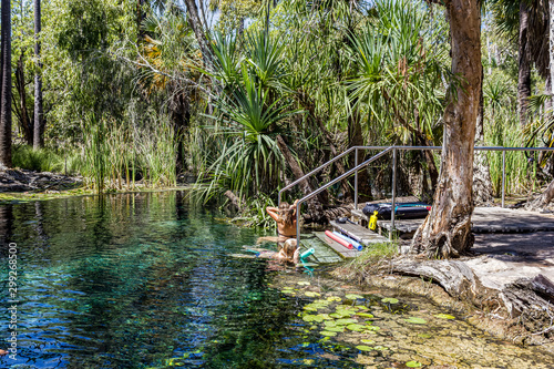 Fotografie young women is swiming in mataranka hot springs in waterhouse river, mataranka,