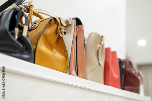 Close up collection of woman feminine handbags, standing in a row on shelf