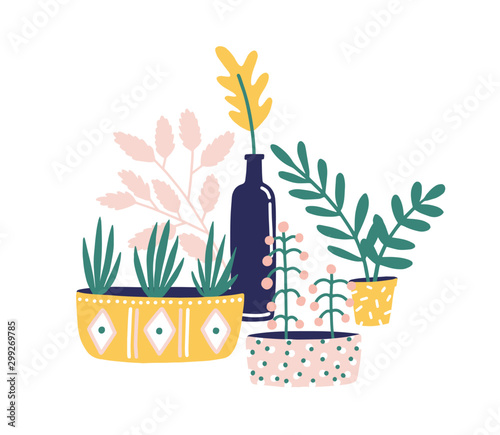 Potted houseplants flat vector illustration