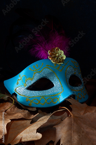 CARNIVAL MASK ON TREE LEAVES AND BLACK BACKGROUND. CARNIVAL TIME