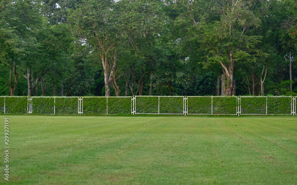 Fototapeta premium football field Is a green lawn That has been beautifully trimmed 