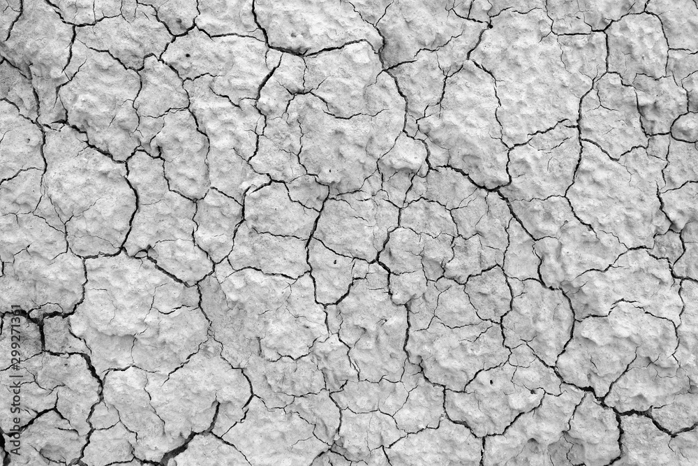 Dry cracked earth. Clay, sandy, dry soil in the desert under the sun. Without water Dry cracked earth. Clay, sandy, dry soil in the desert under the sun. Without water