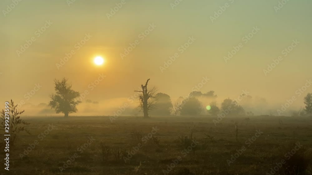 Shot of morning mist over open field at sunrise. Trees in the fog. Magic autumn morning. Shot of morning mist over open field at sunrise. Trees in the fog. Magic autumn morning.