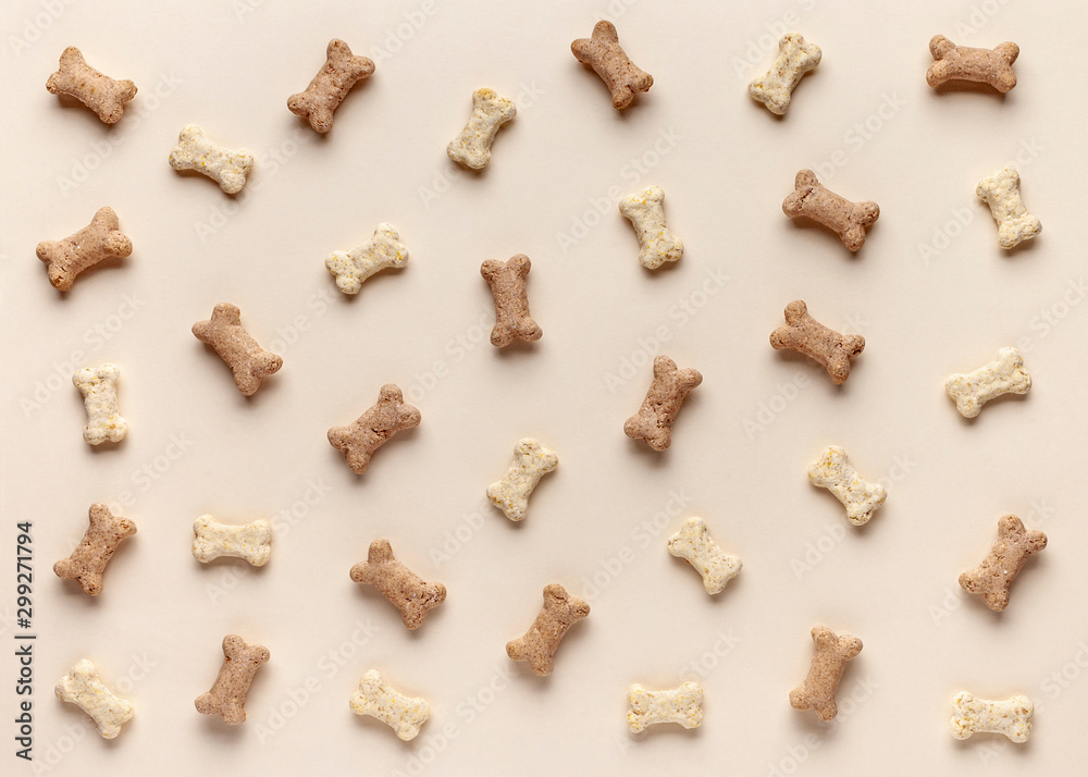 Vibrant How Dog Food Made View Concept Vibrant How Dog Food Made View Concept