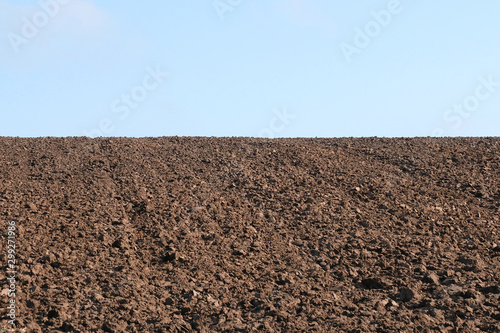 Field plowed, sown cereals. Agriculture plowed field in spring day. Black soil plowed field. Plowed field with blue sky