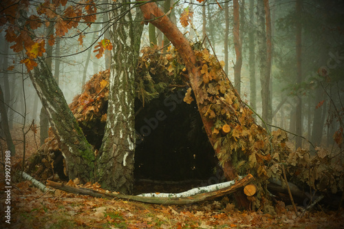 Hut of branches or wickiup or hovel of brushwood and twigs in the countryside. Made from trees, sticks and leaves photo