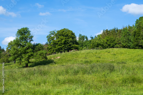 Wiesen und W  lder bei Montfaucon d Argonne Frankreich