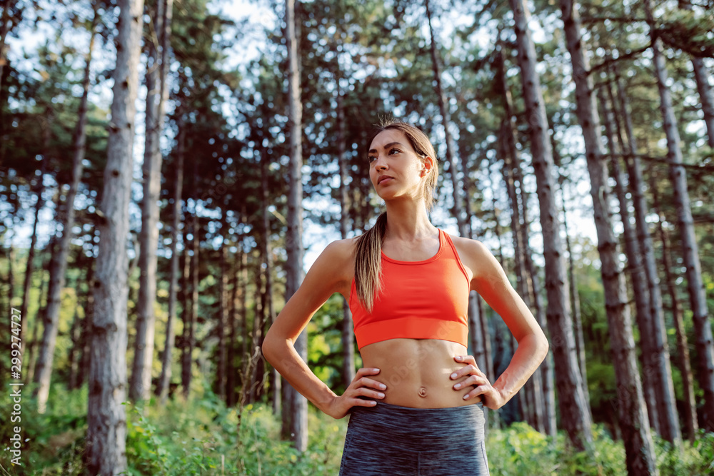 Fit slim sporty serious caucasian brunette in sportswear and with ponytail standing in the woods with hands on hips, resting and looking away. Fit slim sporty serious caucasian brunette in sportswear and with ponytail standing in the woods with hands on hips, resting and looking away.