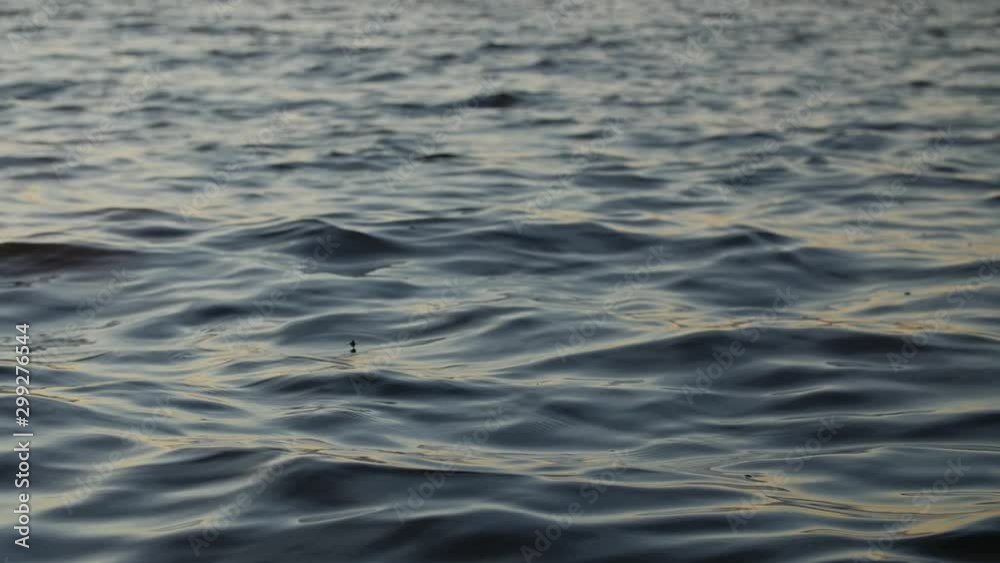 Close up of clean lake water surface, slow motion and shallow depth of field. Close up of clean lake water surface, slow motion and shallow depth of field.