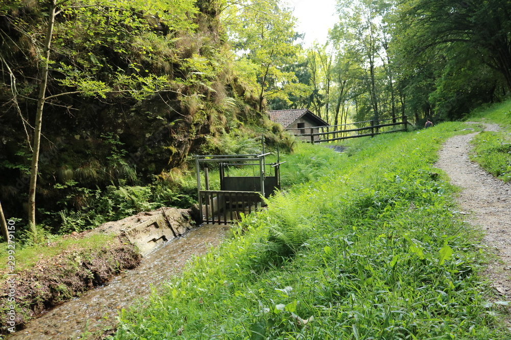 Ruscello nel bosco sul sentiero delle meraviglie che porta al mulino del maglio, Canton Ticino Ruscello nel bosco sul sentiero delle meraviglie che porta al mulino del maglio, Canton Ticino