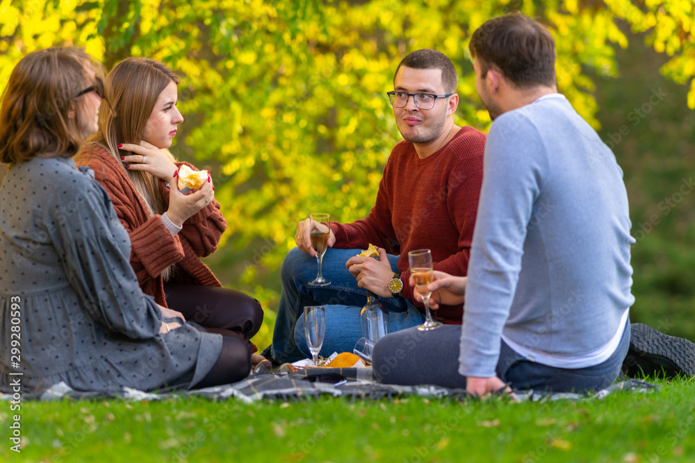Four young friends enjoying an autumn picnic Four young friends enjoying an autumn picnic