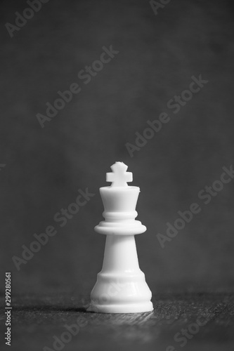 White color king standing in front of the dark background 