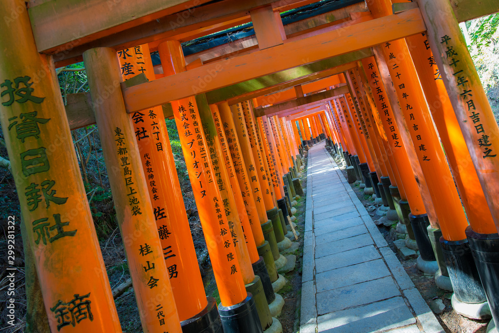 Torii gates in Fushimi Inari Shrine, Kyoto, Japan Torii gates in Fushimi Inari Shrine, Kyoto, Japan