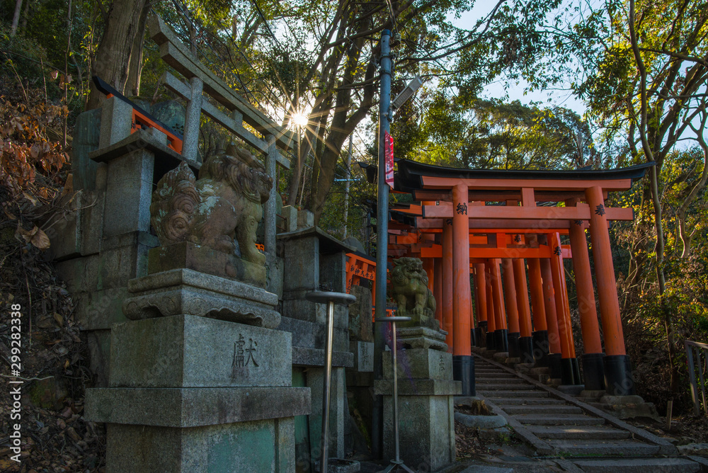 Torii gates in Fushimi Inari Shrine, Kyoto, Japan Torii gates in Fushimi Inari Shrine, Kyoto, Japan
