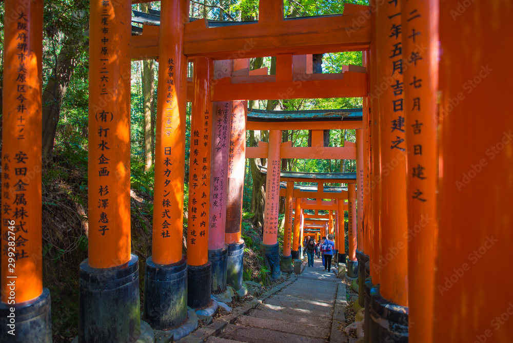 Torii gates in Fushimi Inari Shrine, Kyoto, Japan Torii gates in Fushimi Inari Shrine, Kyoto, Japan